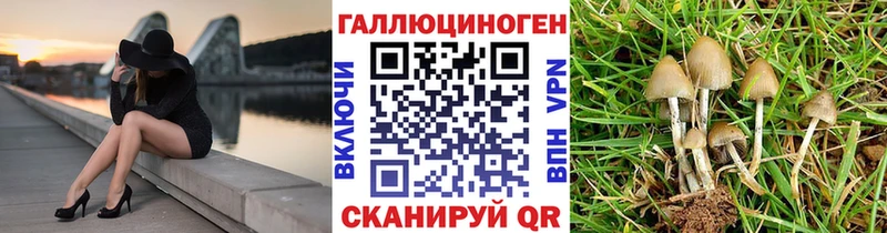 Галлюциногенные грибы мицелий Суздаль